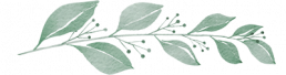 separator