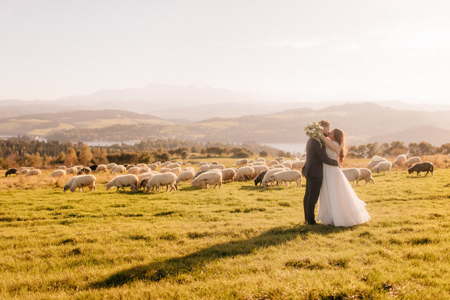 sesja plenerowa poślubna z owcami Kluszkowce Jezioro Rożnowskie
