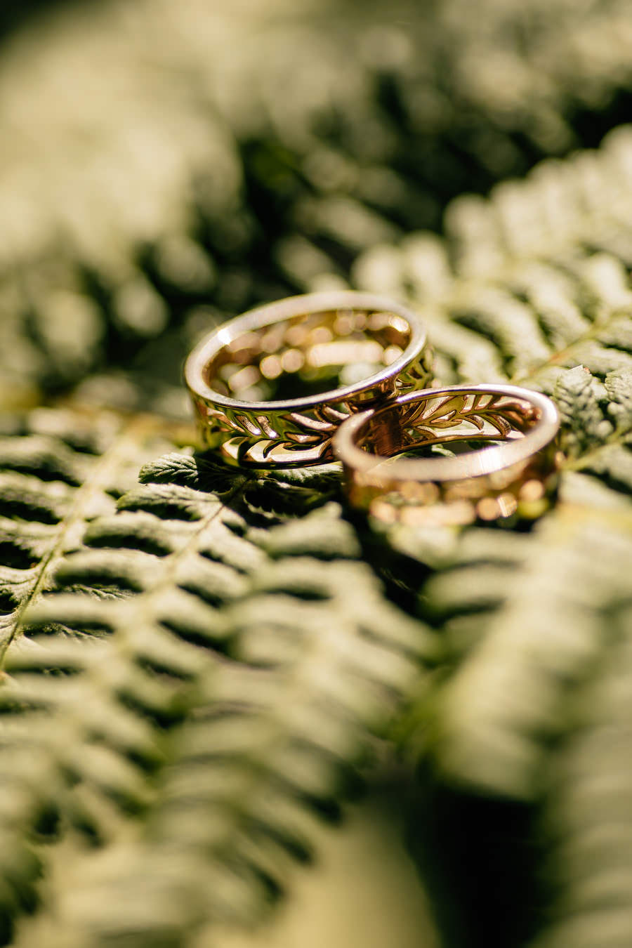 Jak przeniesc las na sale weselna slub blisko natury Dworzyszcze Wola Jak przeniesc las na sale weselna slub blisko natury Dworzyszcze Wola