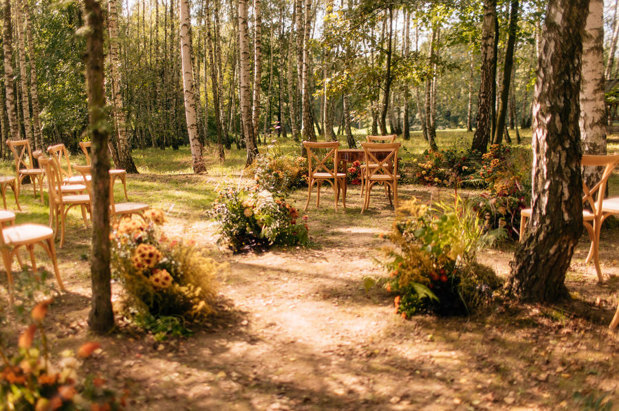 Jak przeniesc las na sale weselna slub blisko natury Dworzyszcze Wola Jak przeniesc las na sale weselna slub blisko natury Dworzyszcze Wola