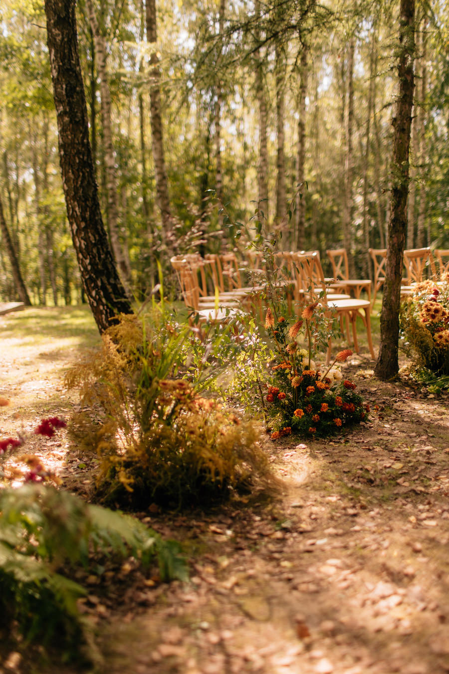 Jak przeniesc las na sale weselna slub blisko natury Dworzyszcze Wola Jak przeniesc las na sale weselna slub blisko natury Dworzyszcze Wola