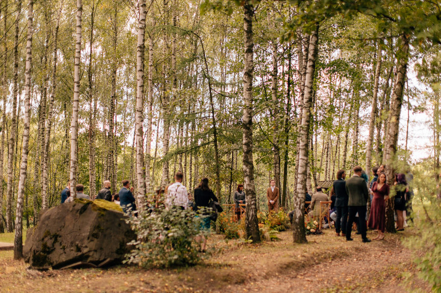 Jak przeniesc las na sale weselna slub blisko natury Dworzyszcze Wola Jak przeniesc las na sale weselna slub blisko natury Dworzyszcze Wola