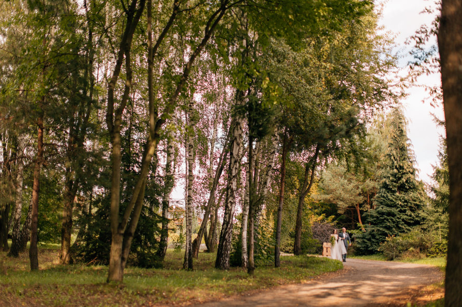 Jak przeniesc las na sale weselna slub blisko natury Dworzyszcze Wola Jak przeniesc las na sale weselna slub blisko natury Dworzyszcze Wola