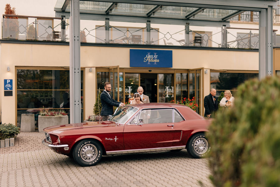 Magiczne wesele Witkowej Chacie Magiczne wesele Witkowej Chacie