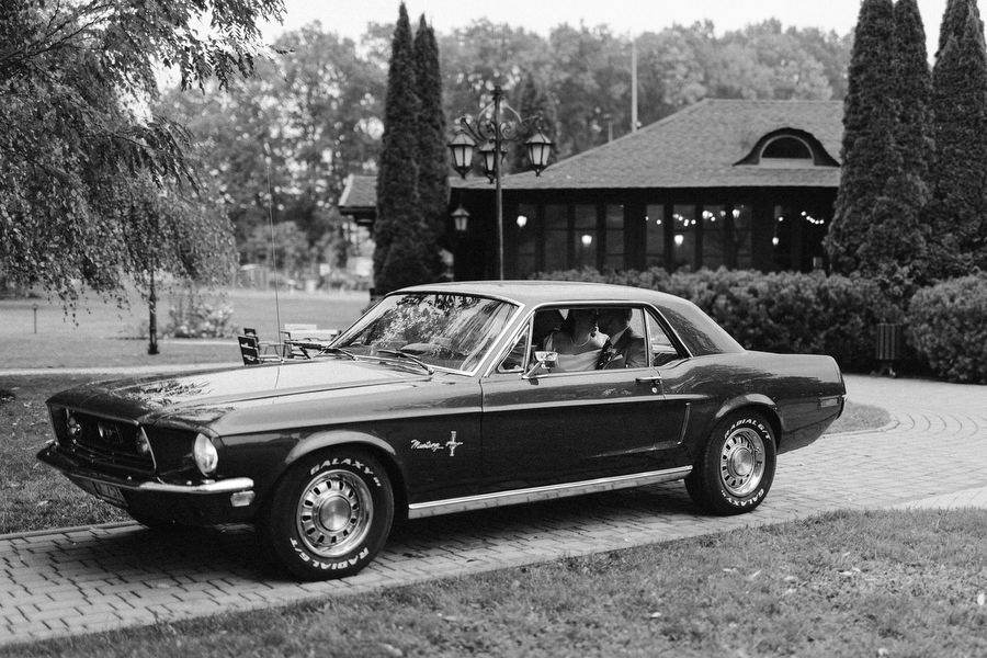 Magiczne wesele Witkowej Chacie Magiczne wesele Witkowej Chacie